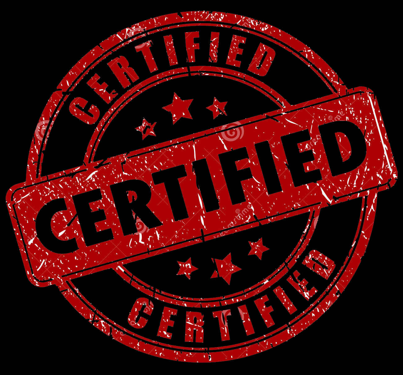 NAVA TERRESTRES INTERNACIONALES